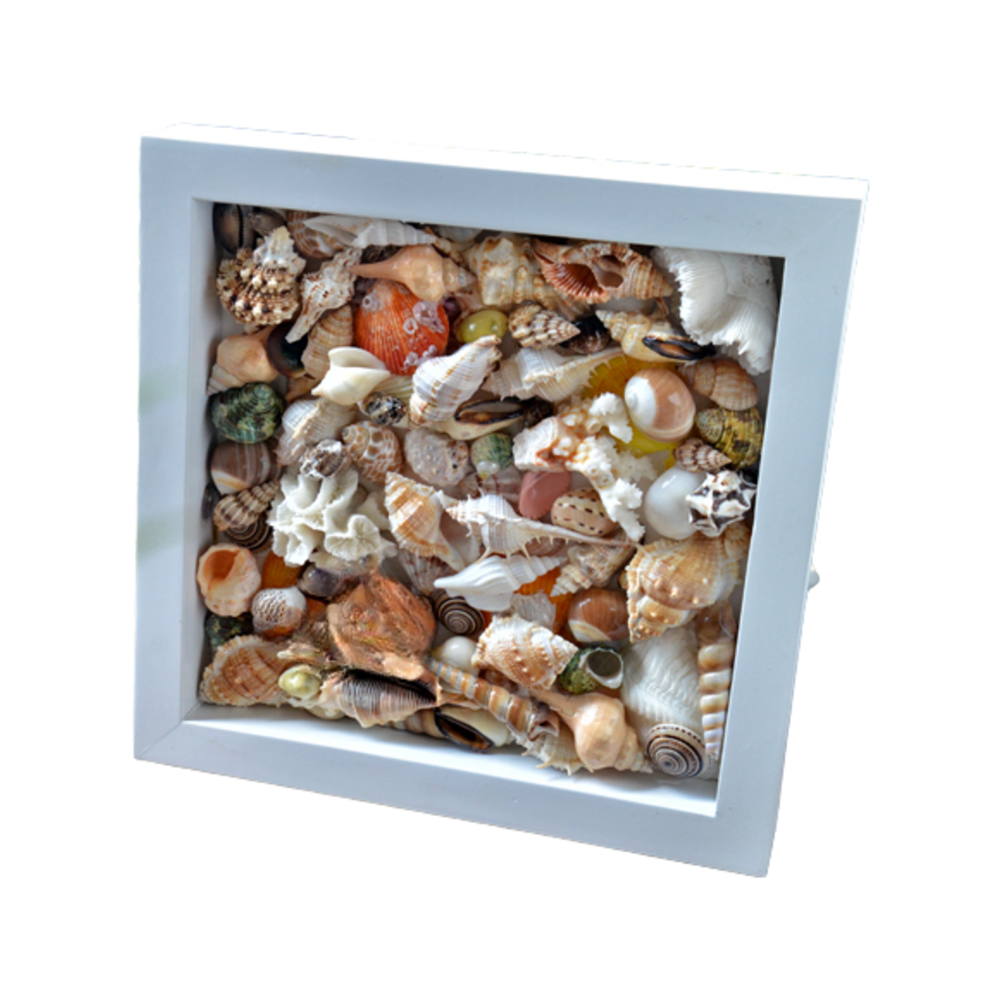 Painting From Various Seashell