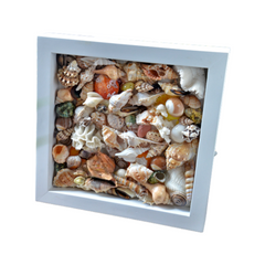 Painting From Various Seashell