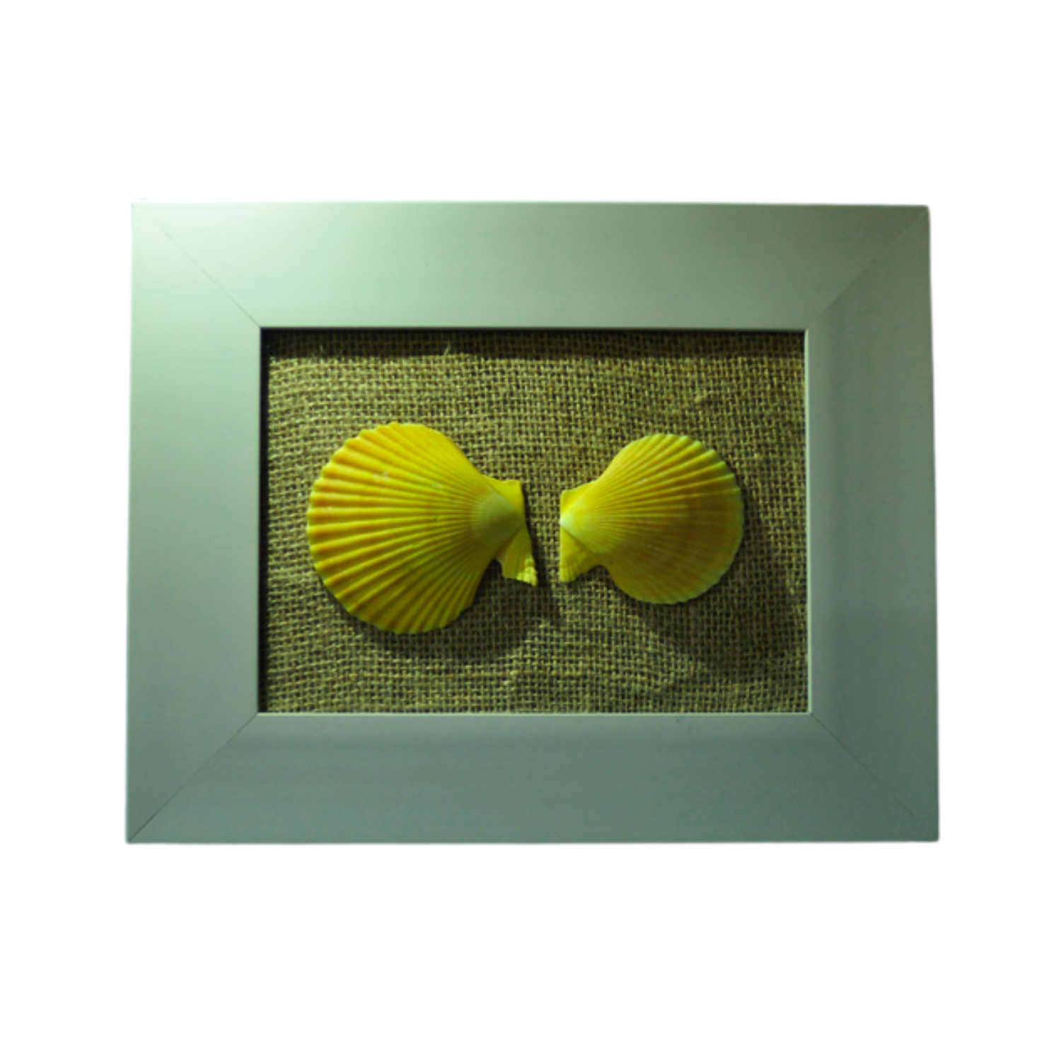 Painting Of 2 Seashell