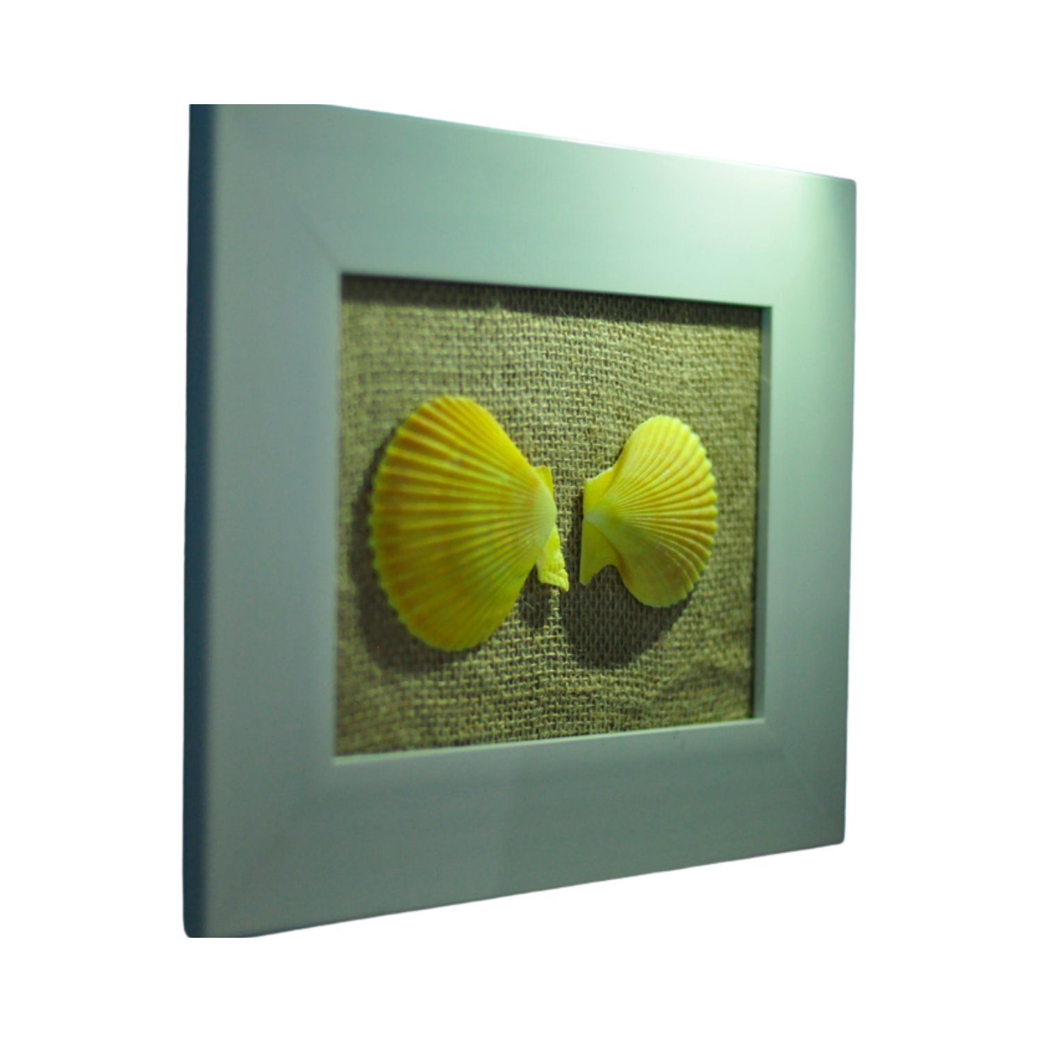 Painting Of 2 Seashell