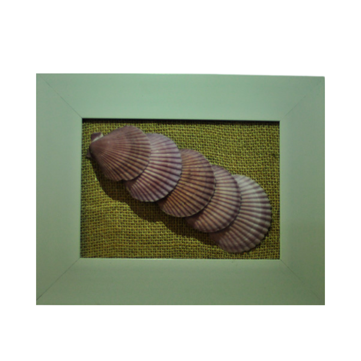 Painting Of Five Scallop Seashell