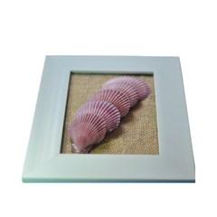 Painting Of Five Scallop Seashell