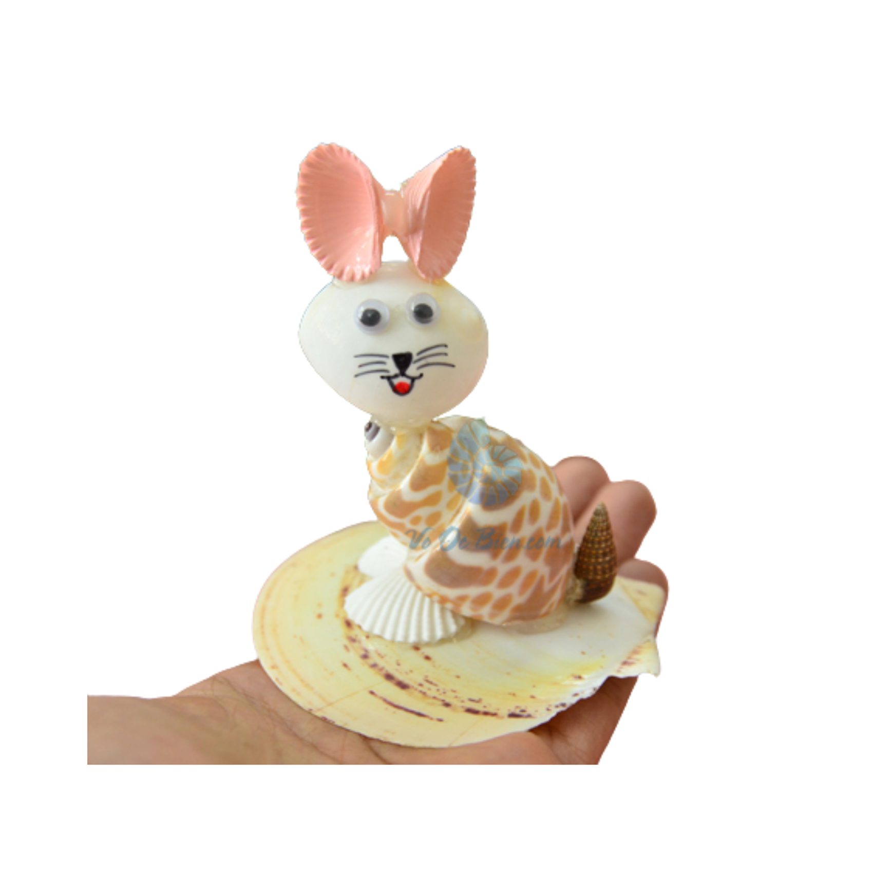 Pink Ear Cat From Seashell