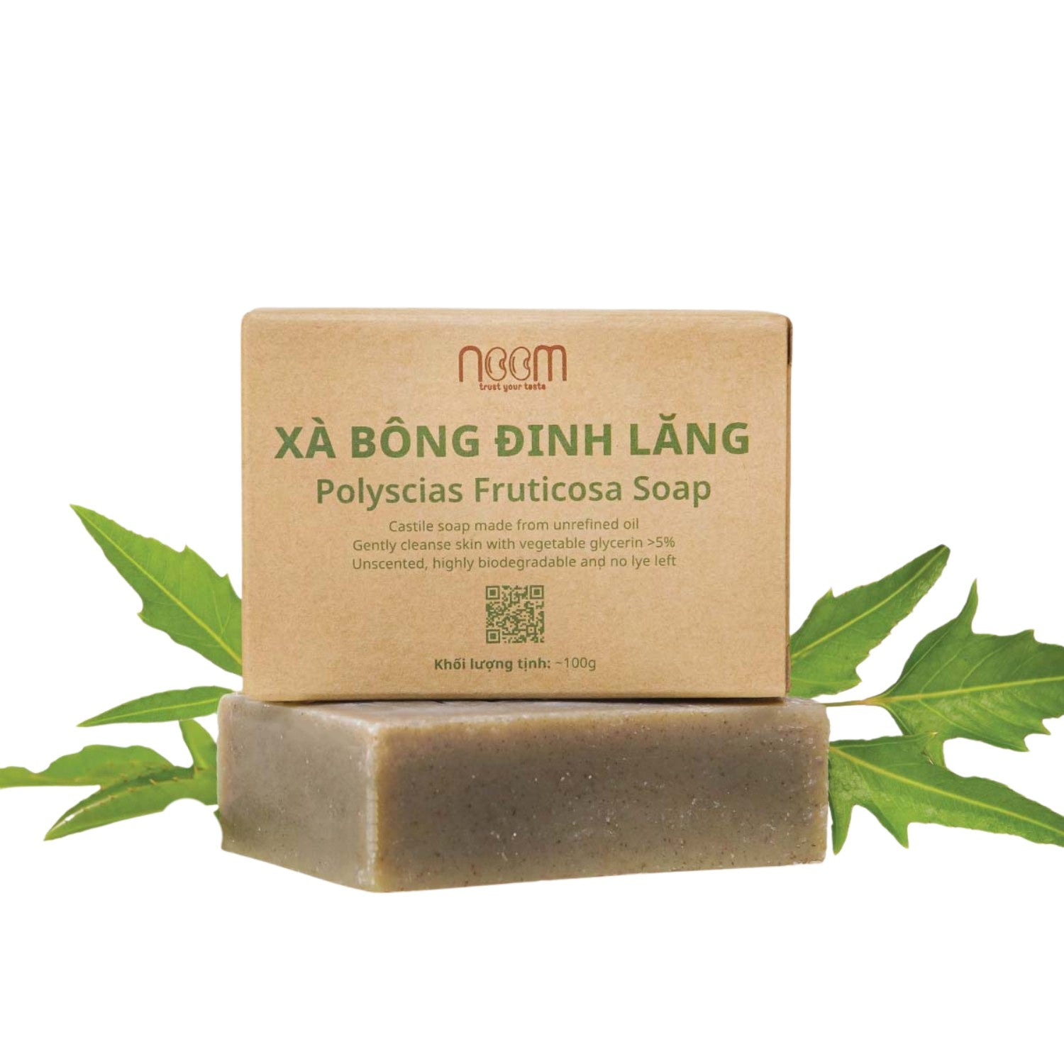 Polyscias Fruticosa Soap