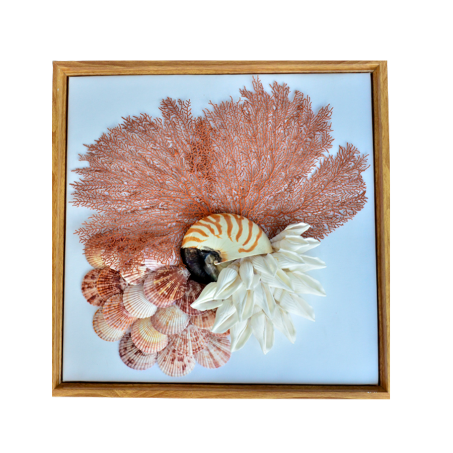 Prosperous Seashell Art