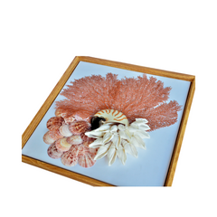 Prosperous Seashell Art