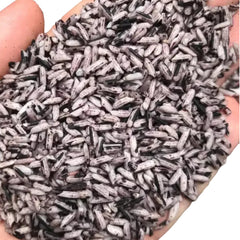 Purple Upland Rice