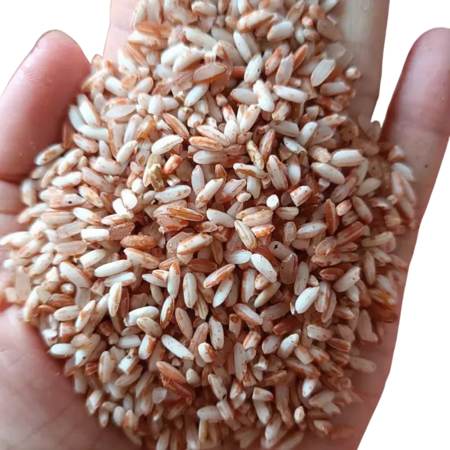 Red Upland Rice