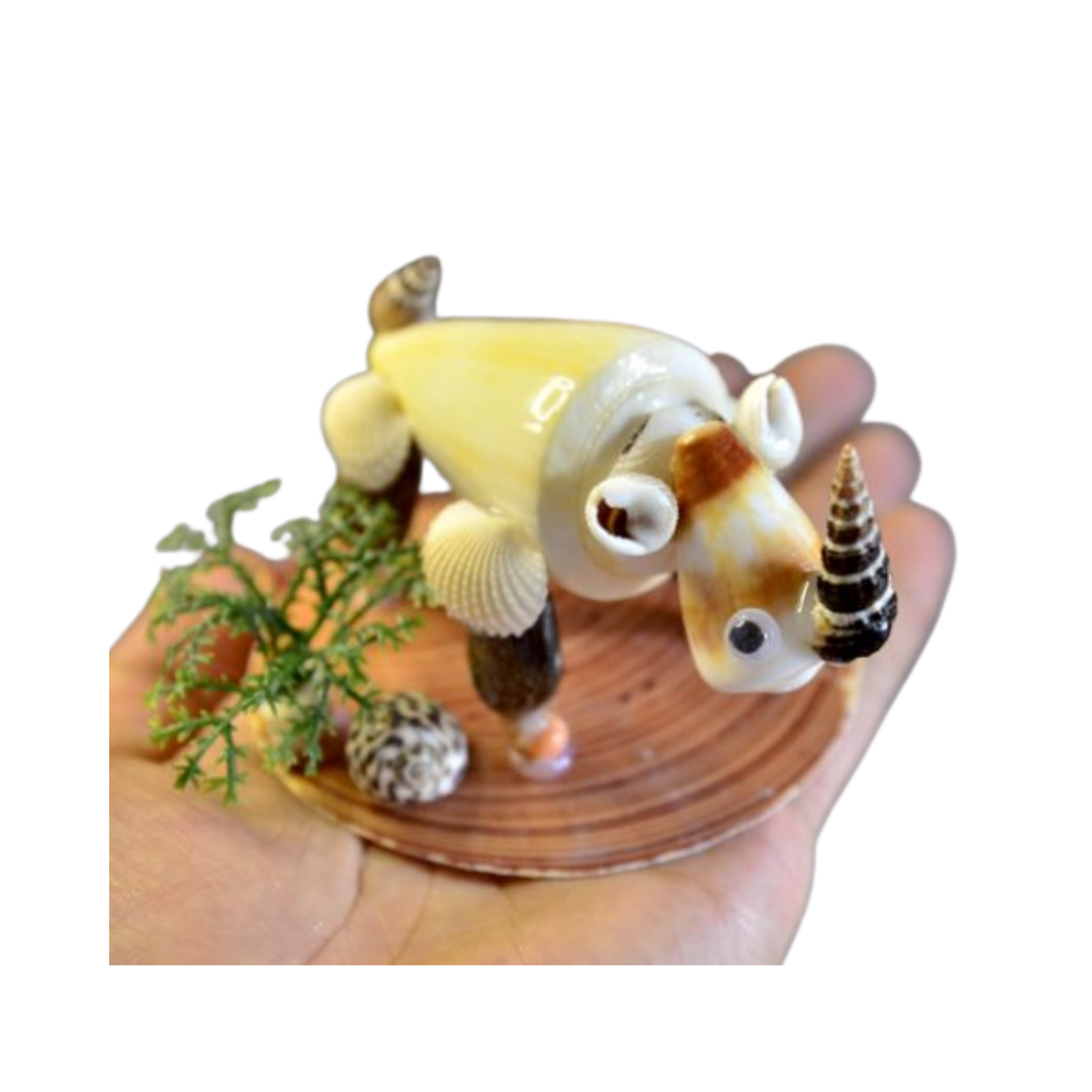 Rhinoceros From Seashell
