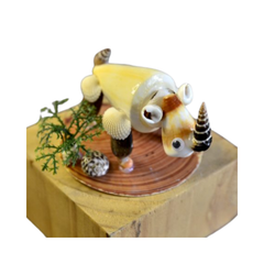 Rhinoceros From Seashell
