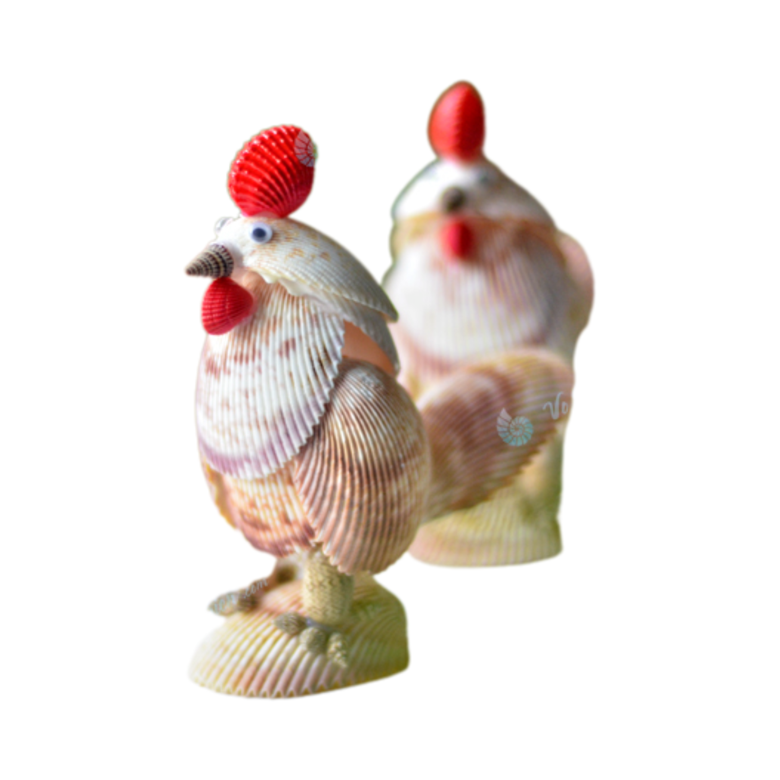 Rooster Made From Seashells