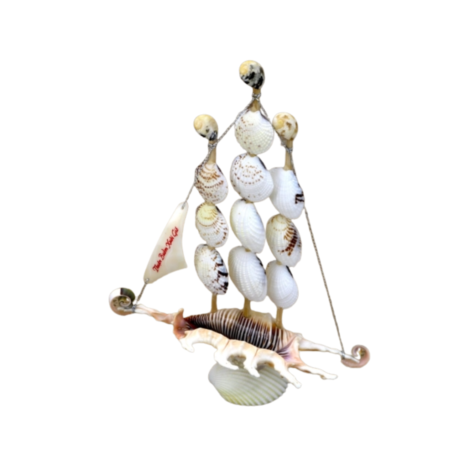 Sailboat Made From Small Ria Snail Shells
