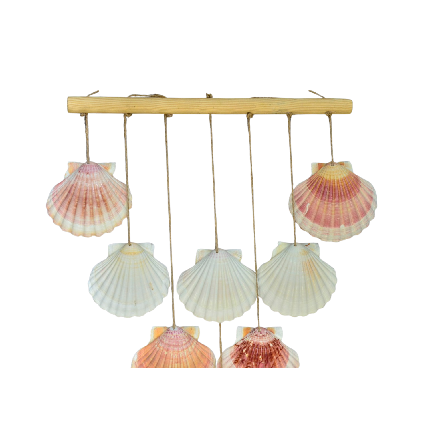 Scallop Seashell Wall Wind Chime