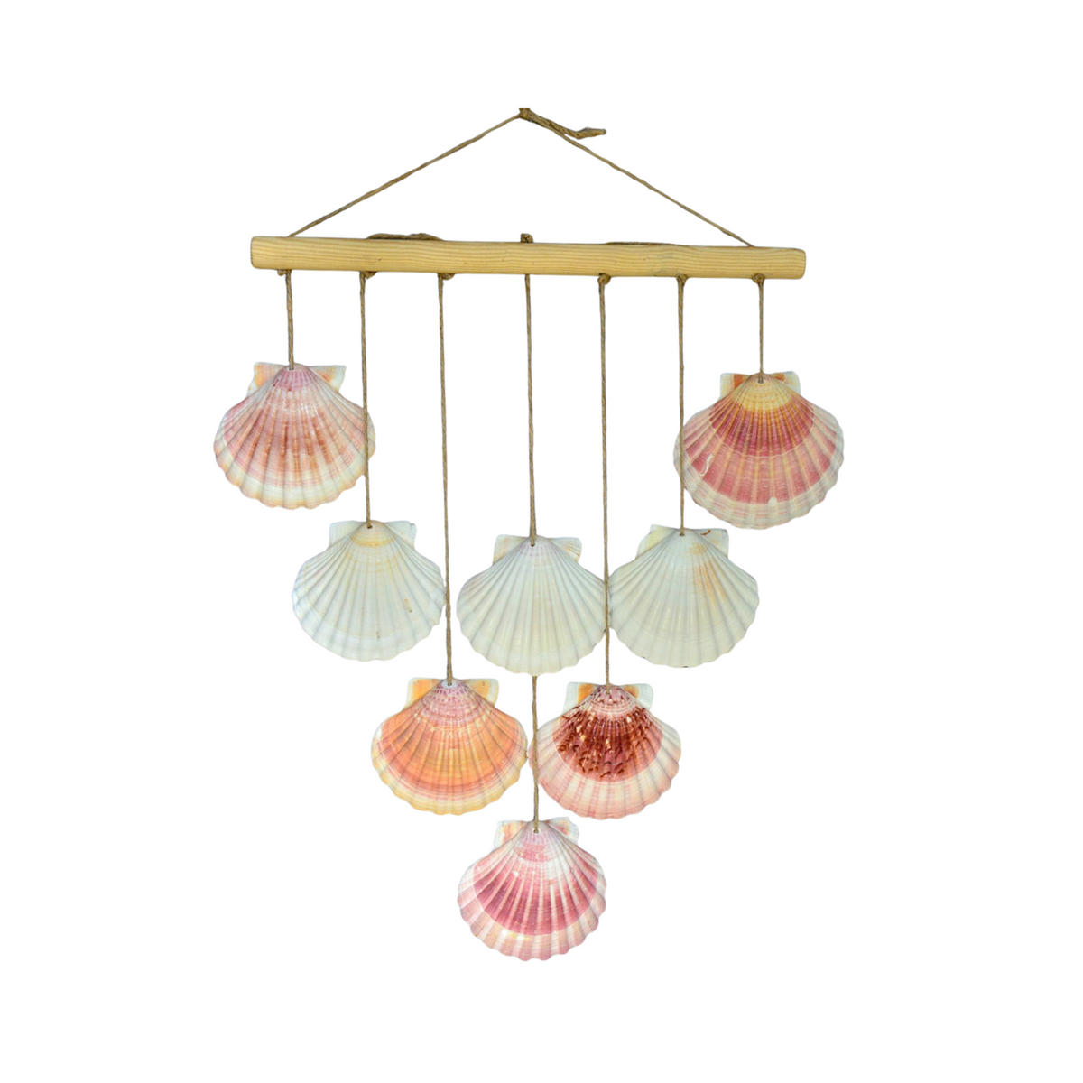Scallop Seashell Wall Wind Chime