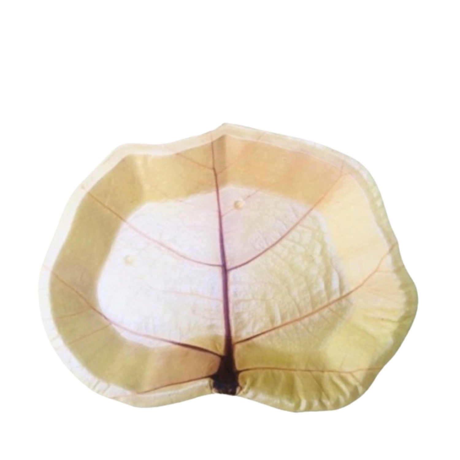 Sea Grape Leaf Plate
