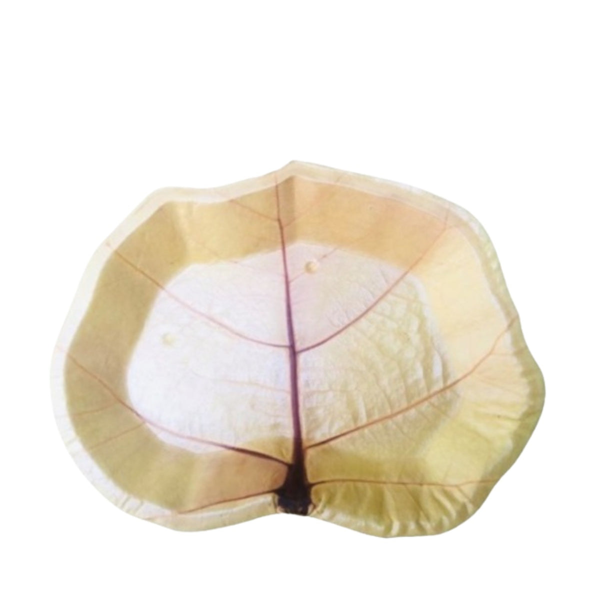 Sea Grape Leaf Plate