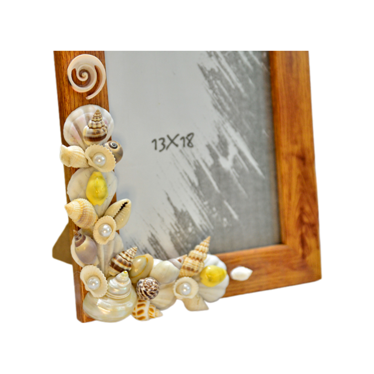 Sea Snail Decorative Photo Frame