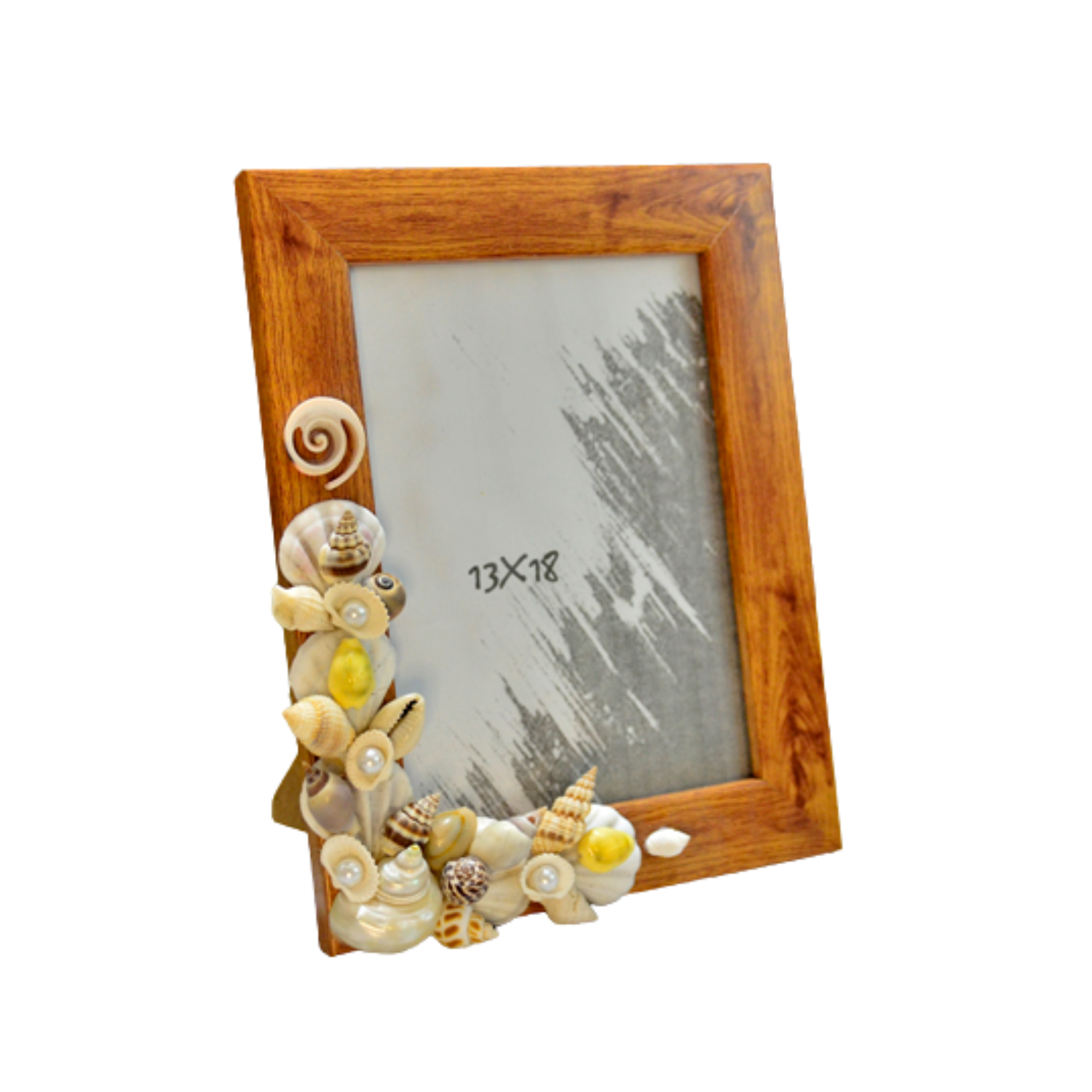 Sea Snail Decorative Photo Frame