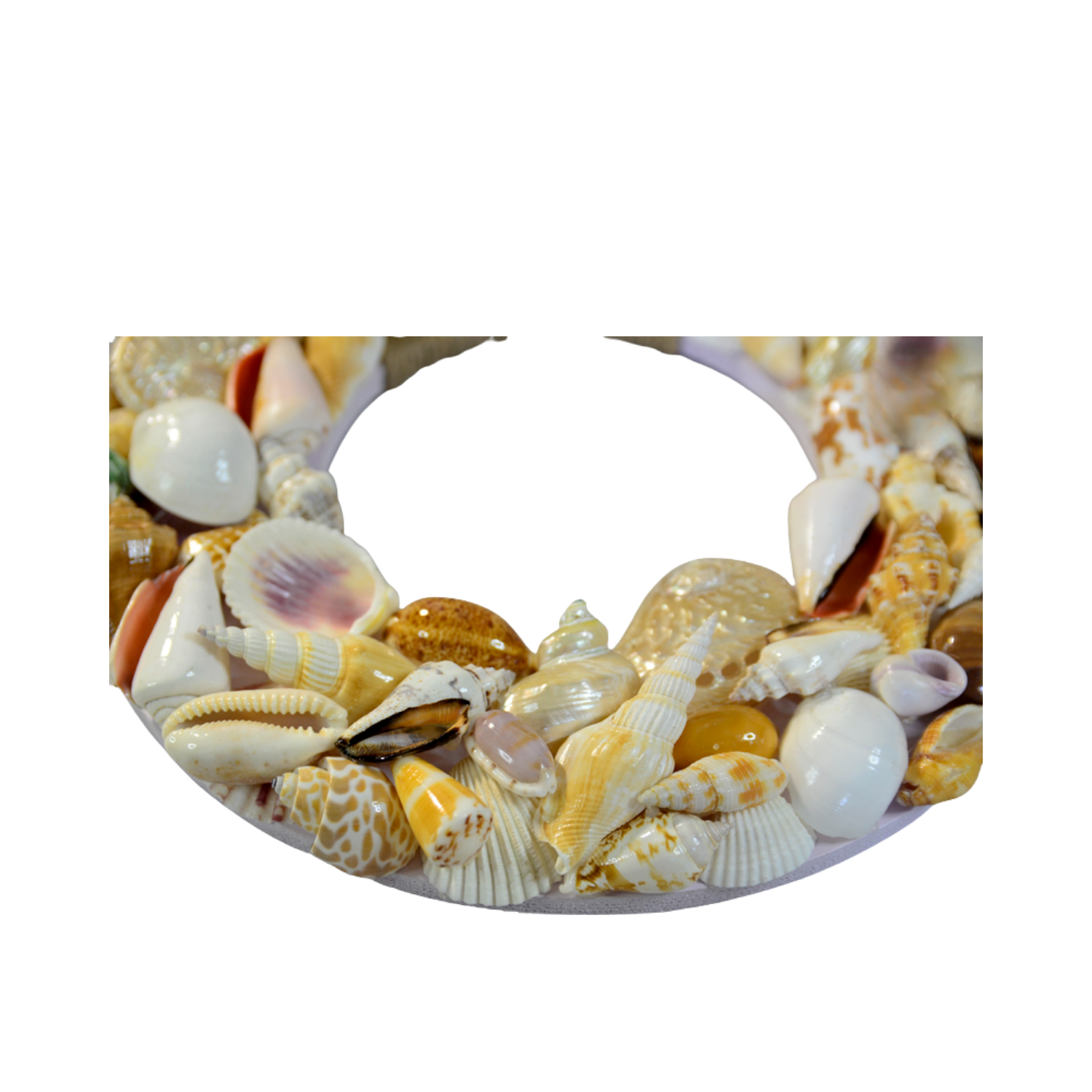 Sea Snail Laurel Wreath 02