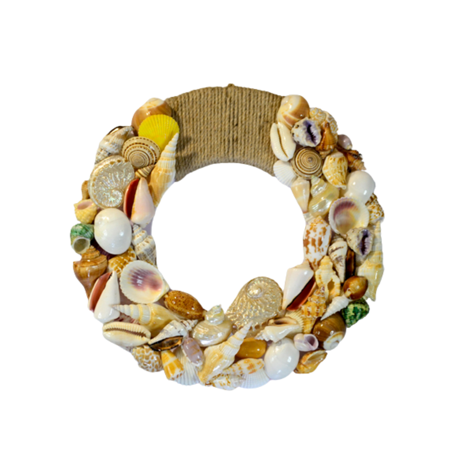 Sea Snail Laurel Wreath 02