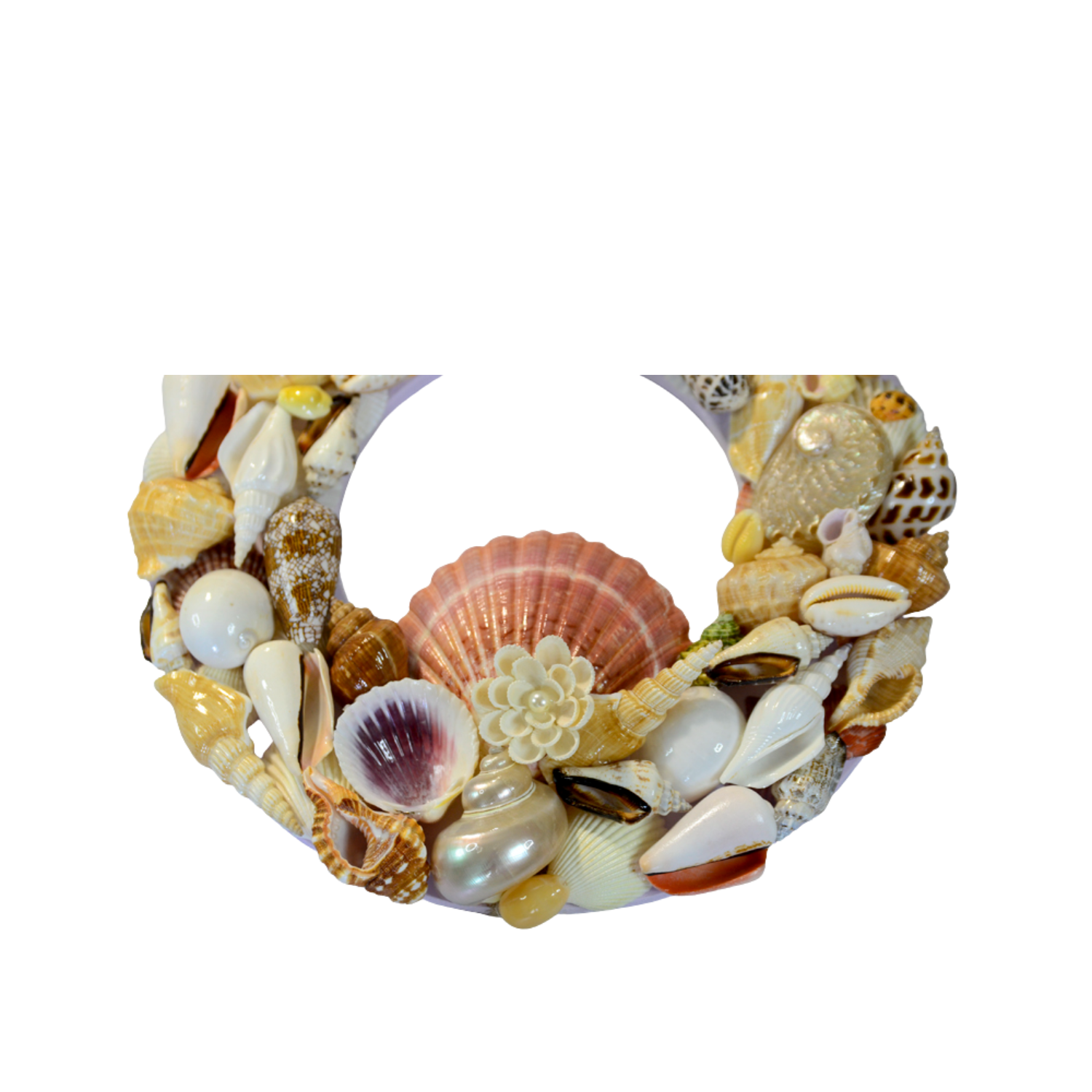 Sea Snail Laurel Wreath 03
