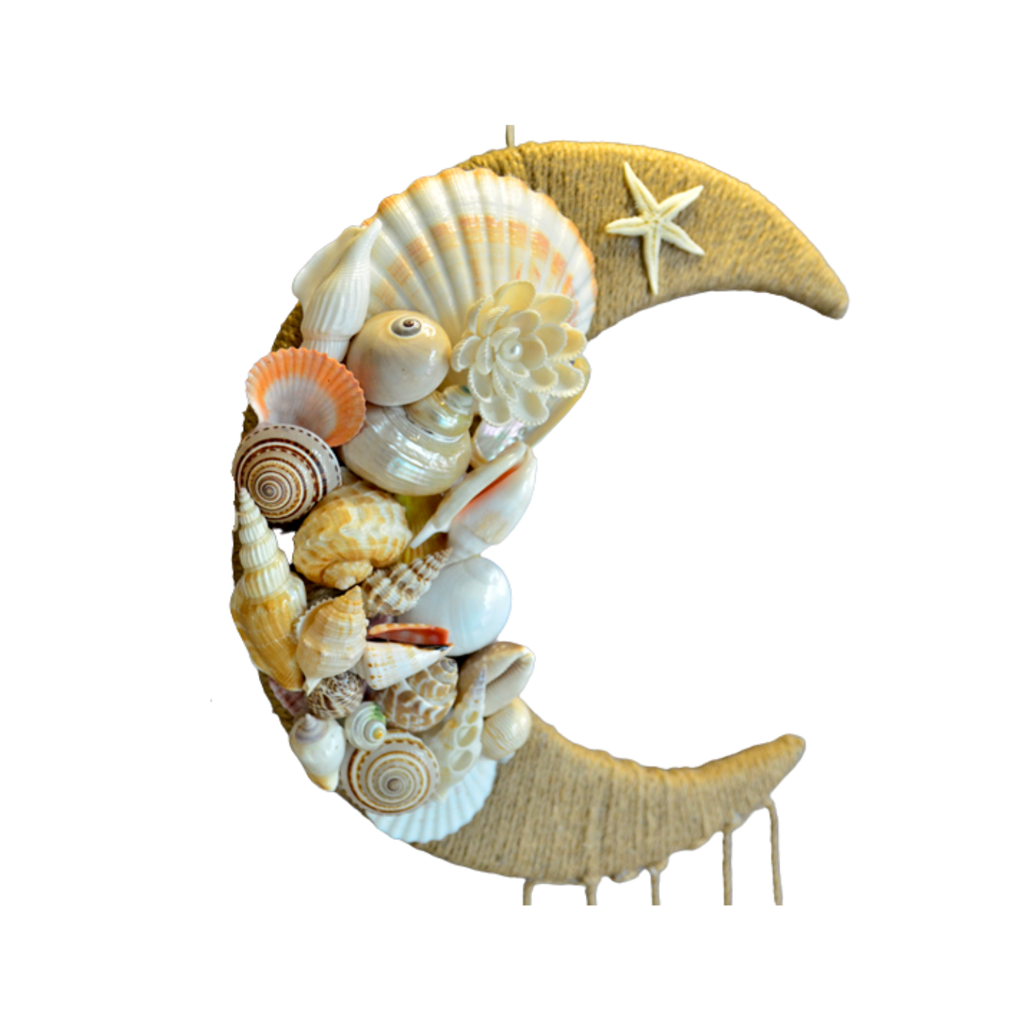 Sea Snail Moon Painting