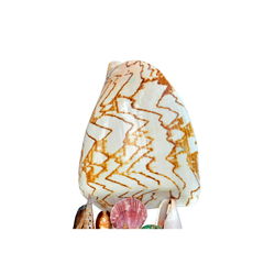 Sea Snail Table Lamp