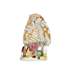 Sea Snail Table Lamp