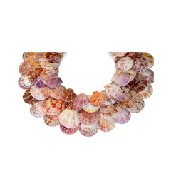 Sea Snail Laurel Wreath