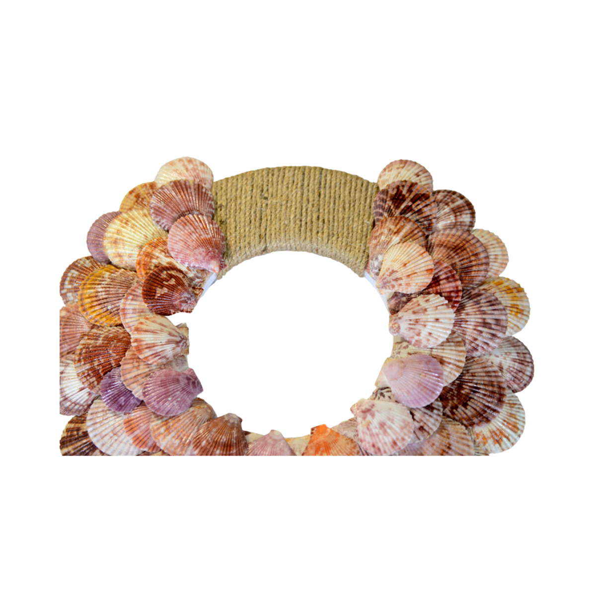 Sea Snail Laurel Wreath