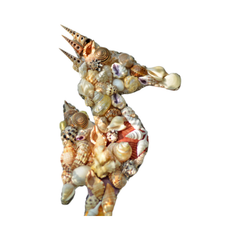 Seahorse Painting From Seashell