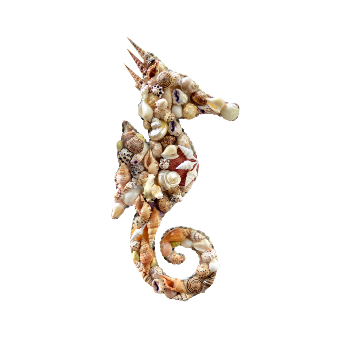 Seahorse Painting From Seashell