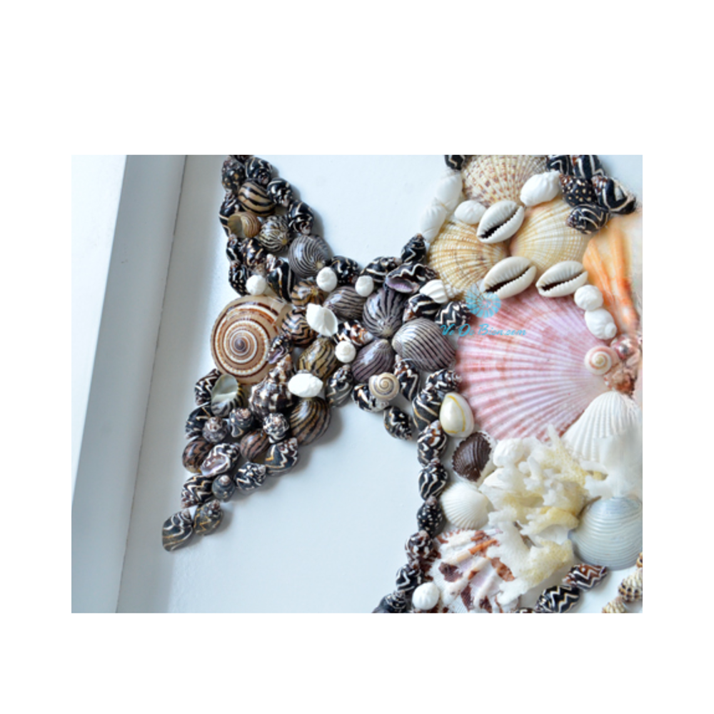 Seashell Angelfish Picture Frame