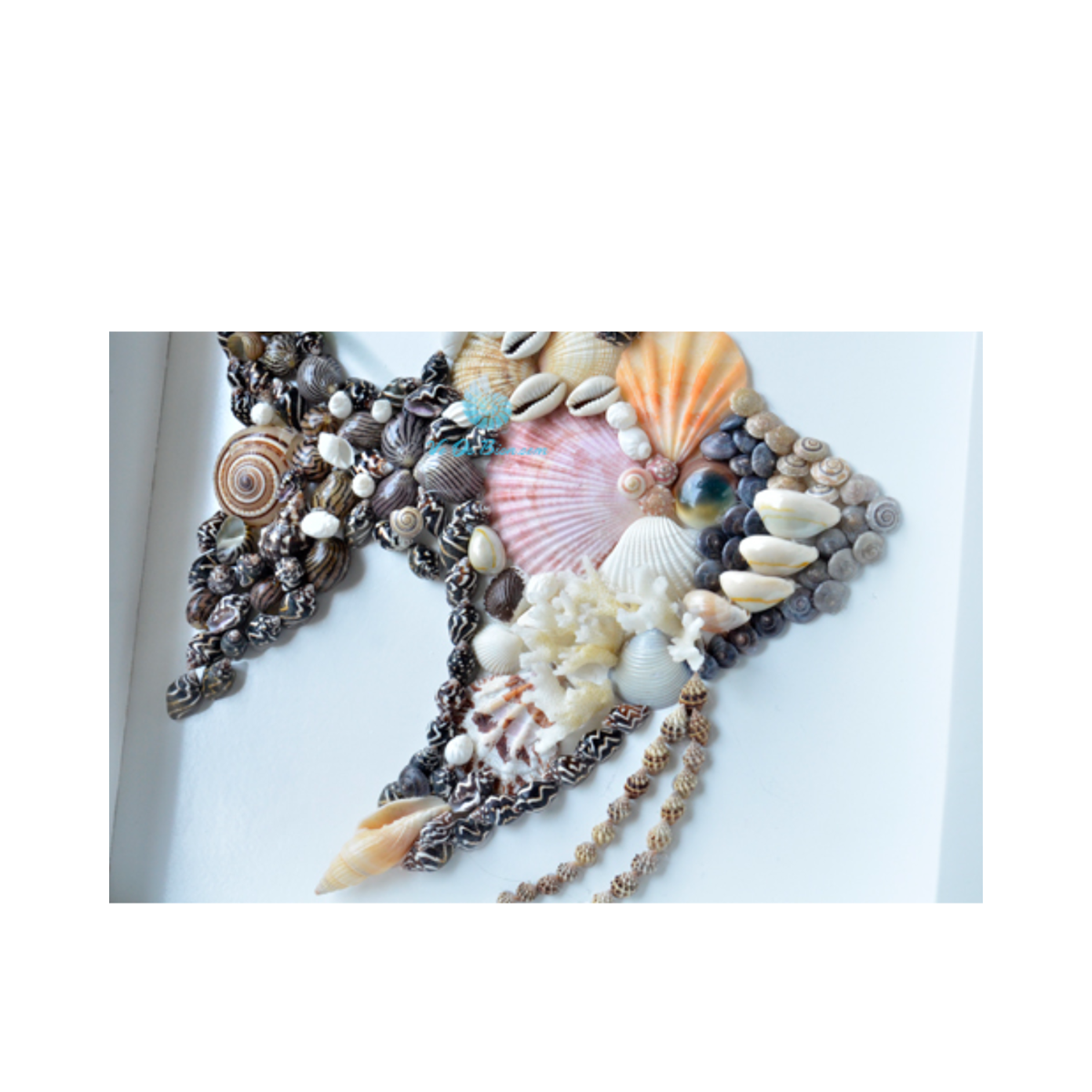 Seashell Angelfish Picture Frame