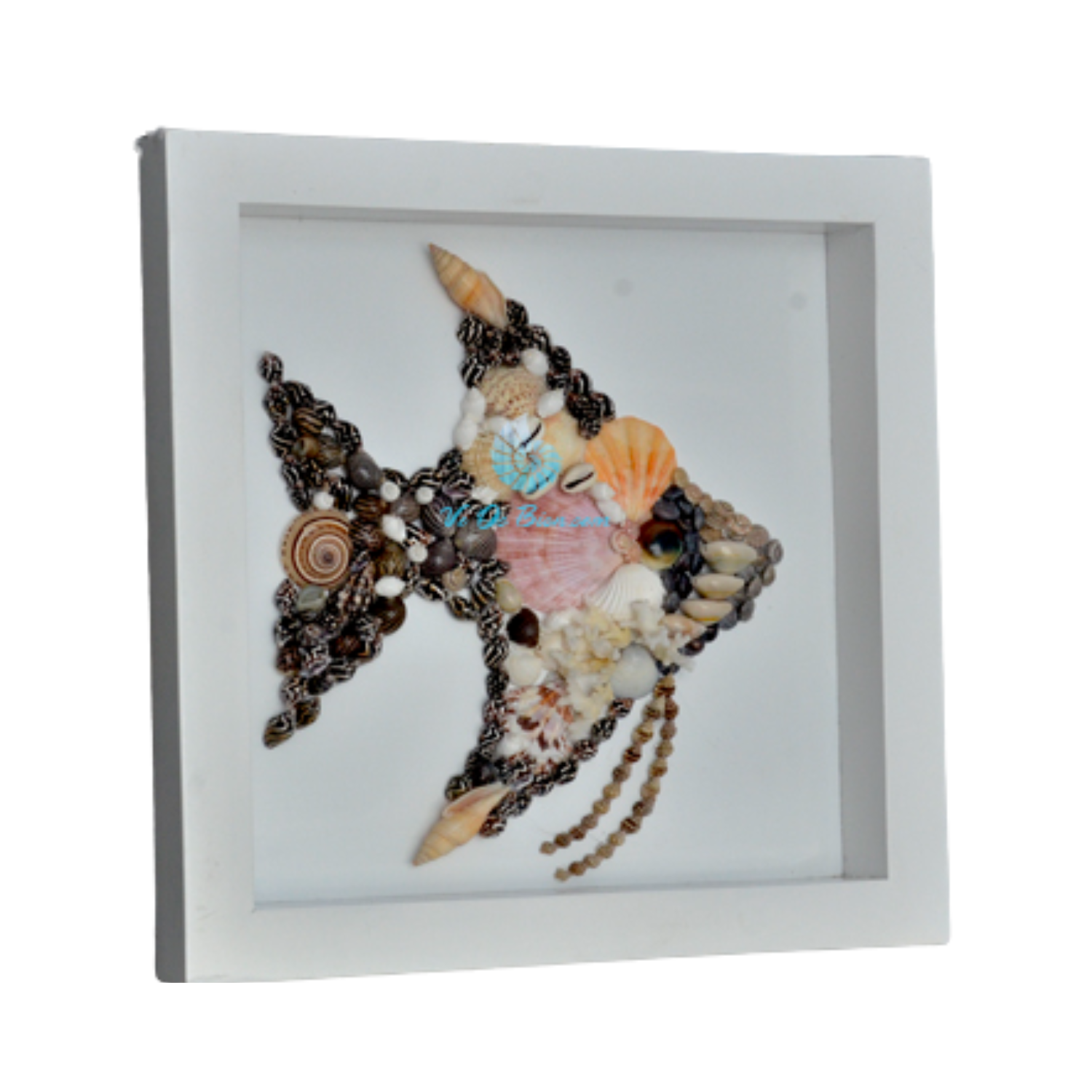 Seashell Angelfish Picture Frame