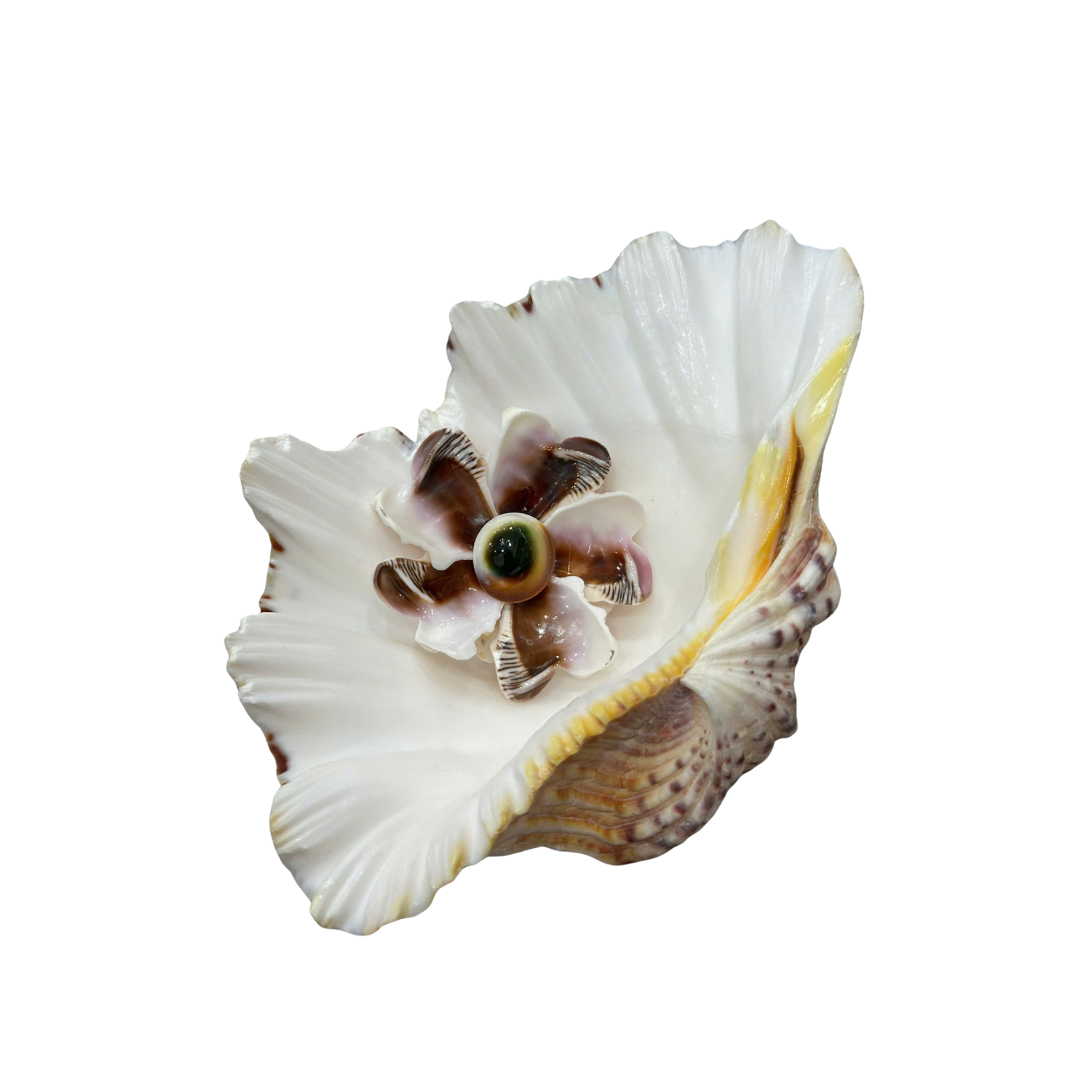 Seashell Flower