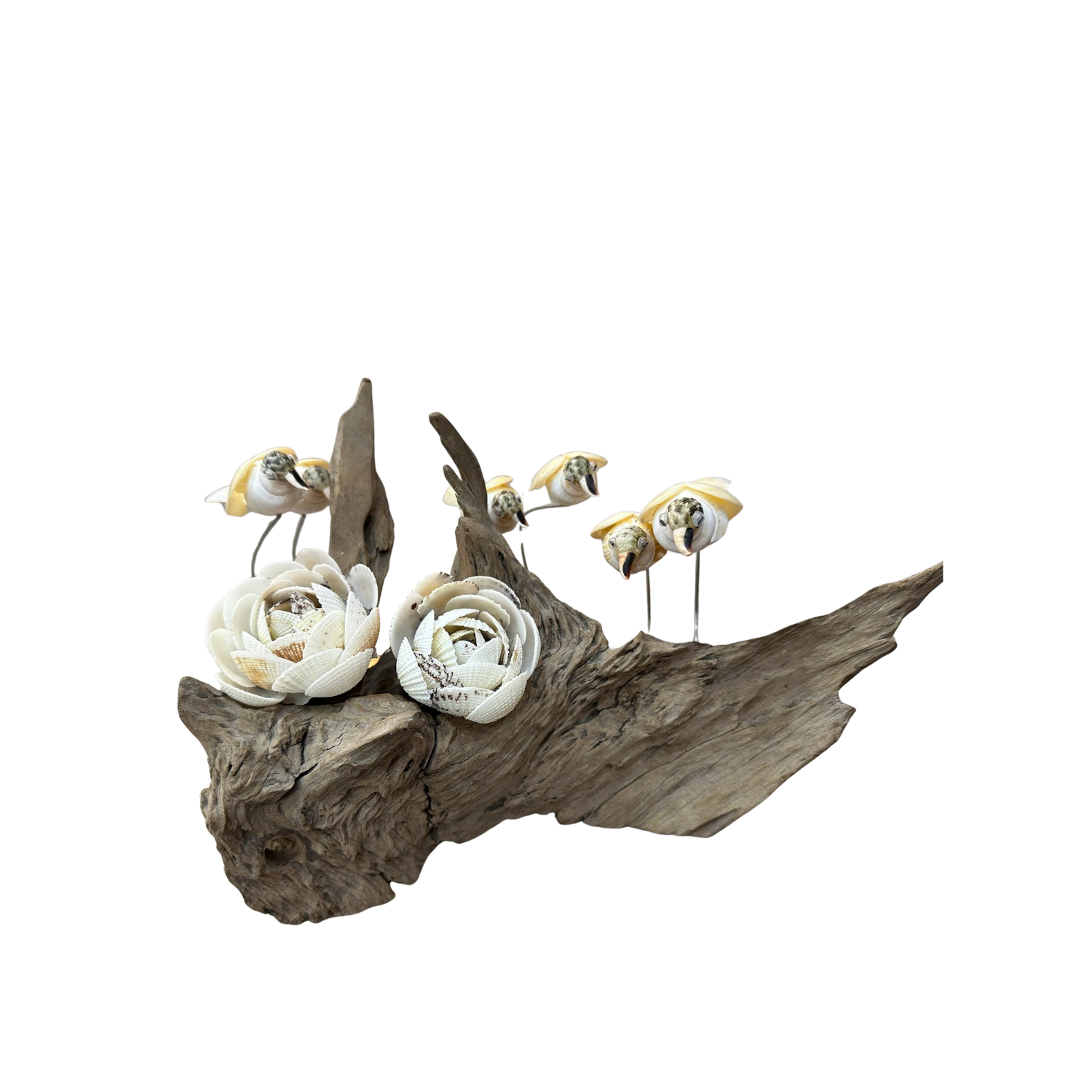 Seashell Flower