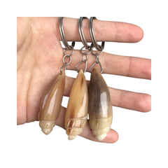 Seashell Keychain