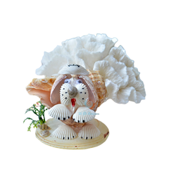 Seashell Navy Dog
