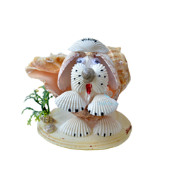 Seashell Navy Dog
