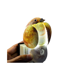 Seashell Night Light