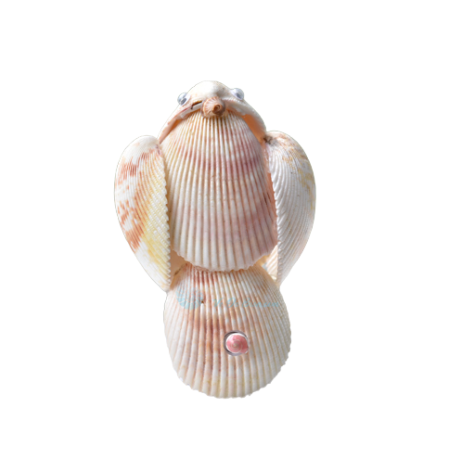 Seashell Night Light