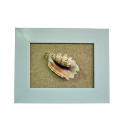 Seashell Painting 1