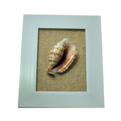 Seashell Painting 1