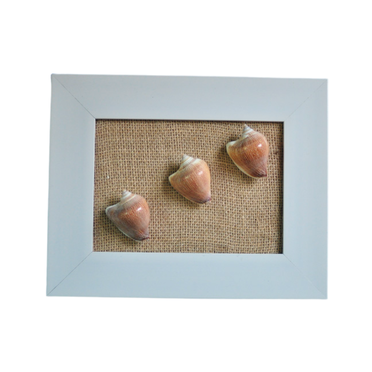 Seashell Painting
