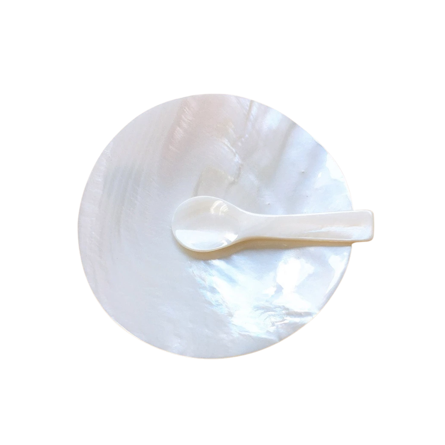 Seashell Plate And Spoon