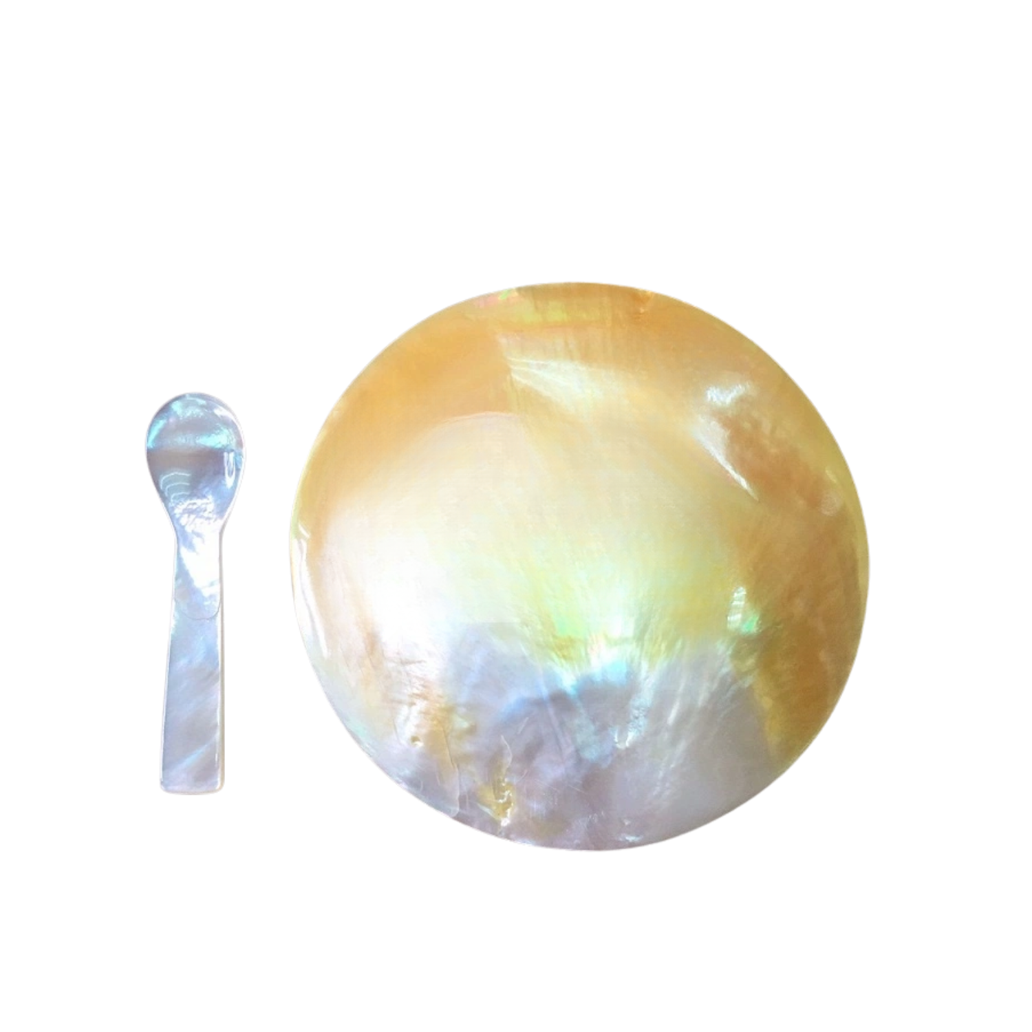 Seashell Plate And Spoon 1