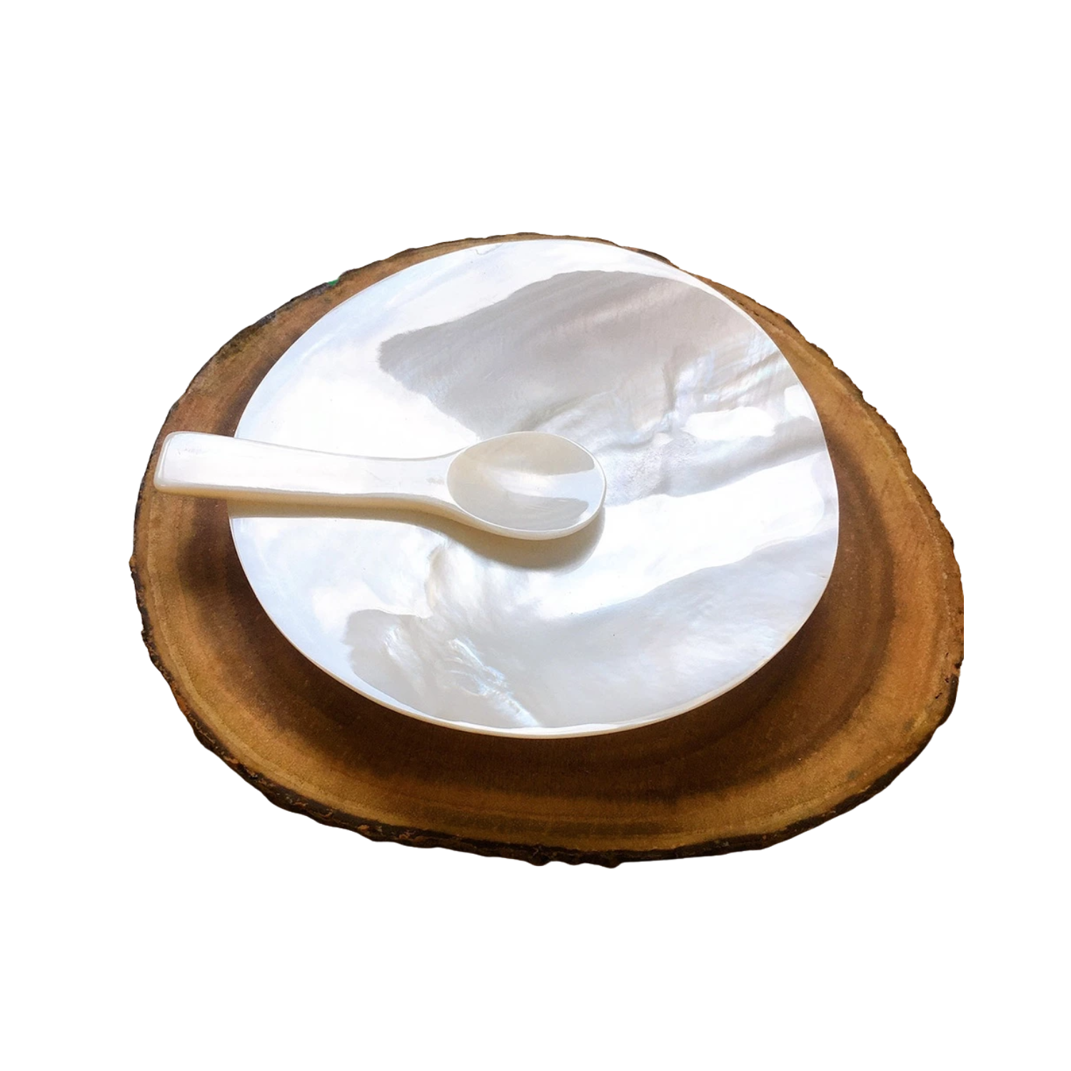 Seashell Plate And Spoon