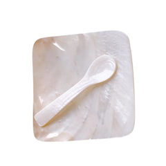 Seashell Plate And Spoon 2