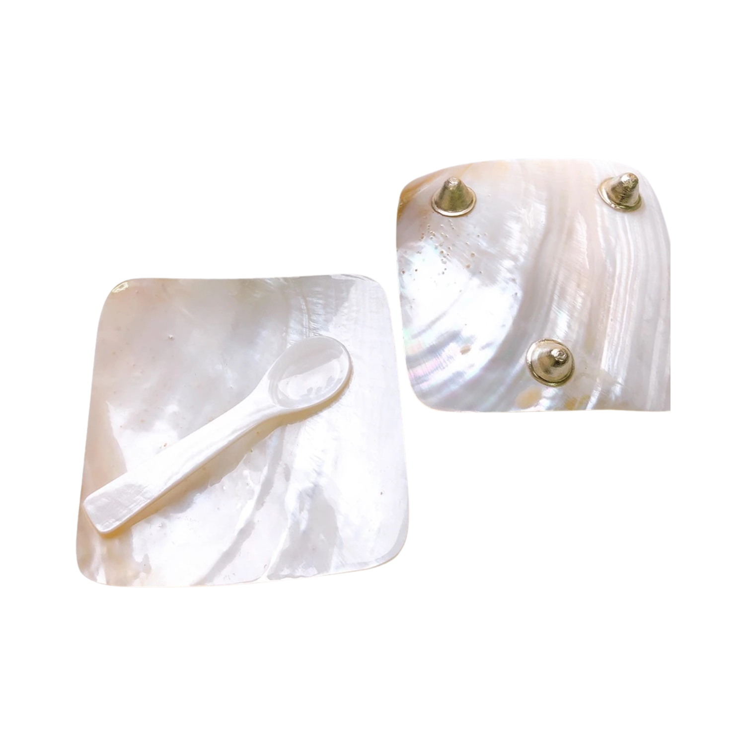 Seashell Plate And Spoon 2
